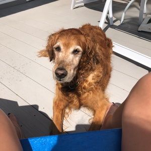 Meet your Posher, Madison